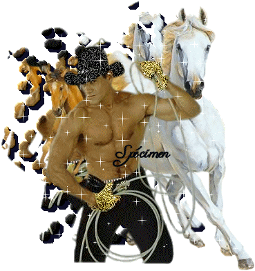 Clin d'oeuil � vous Mesdames !!   loll